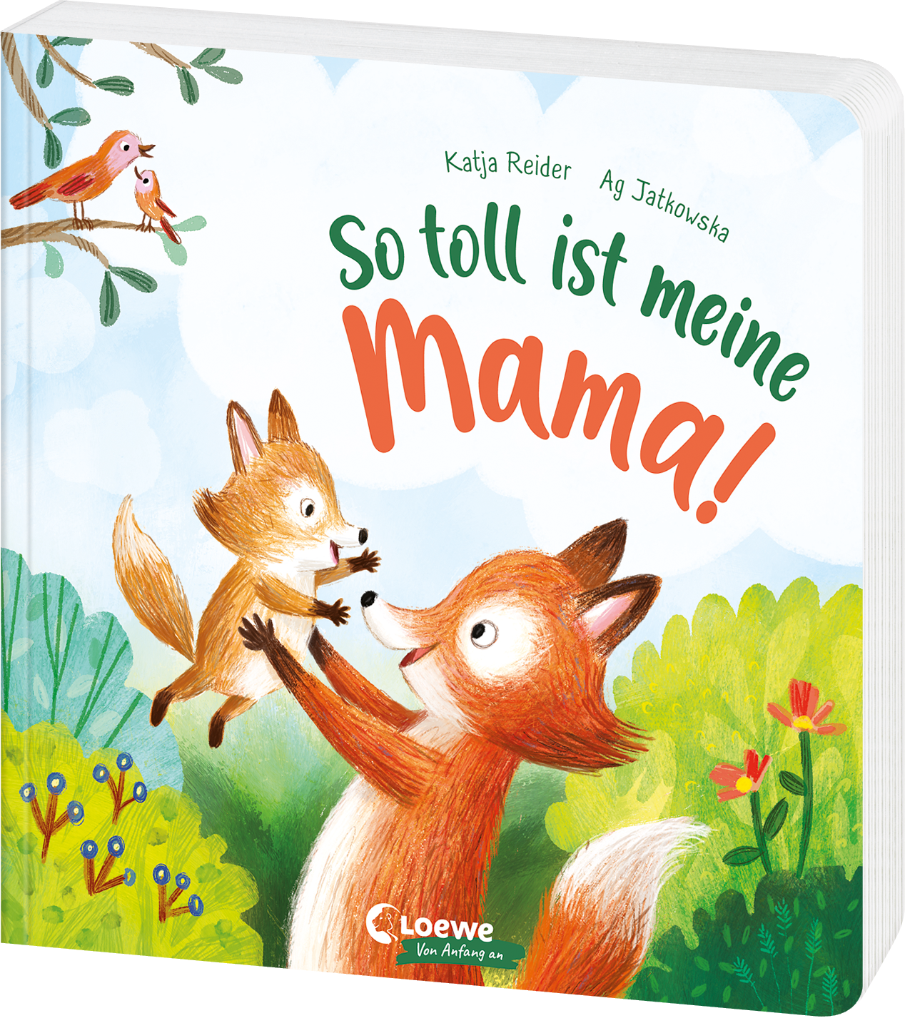 So toll ist meine Mama! 9783743207769