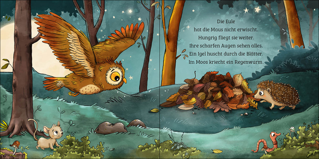 Mein erstes Naturbuch - Die Eule 9783743213166_4