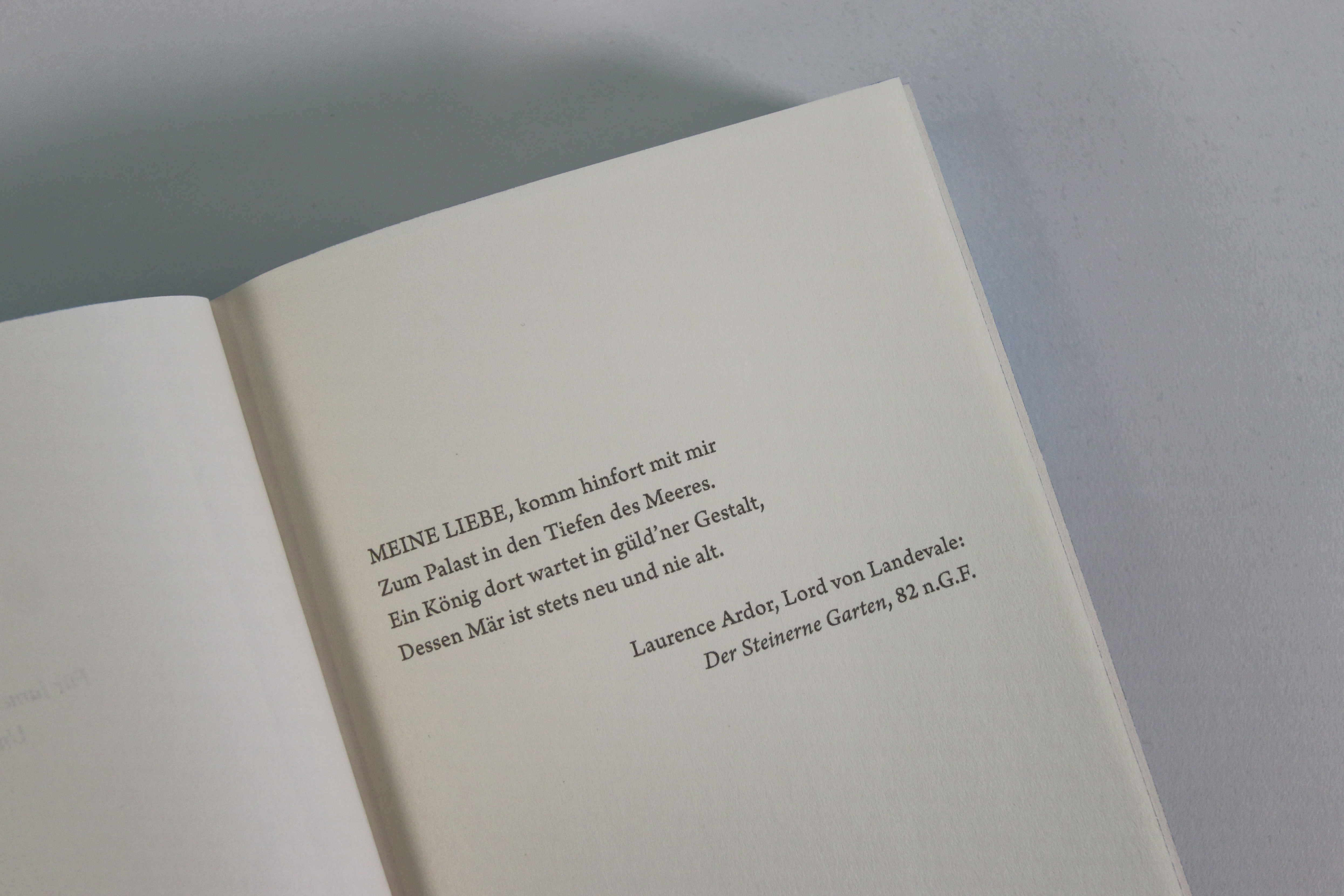 A Theory of Dreaming (A Study in Drowning, Band 2) 9783743223042_06