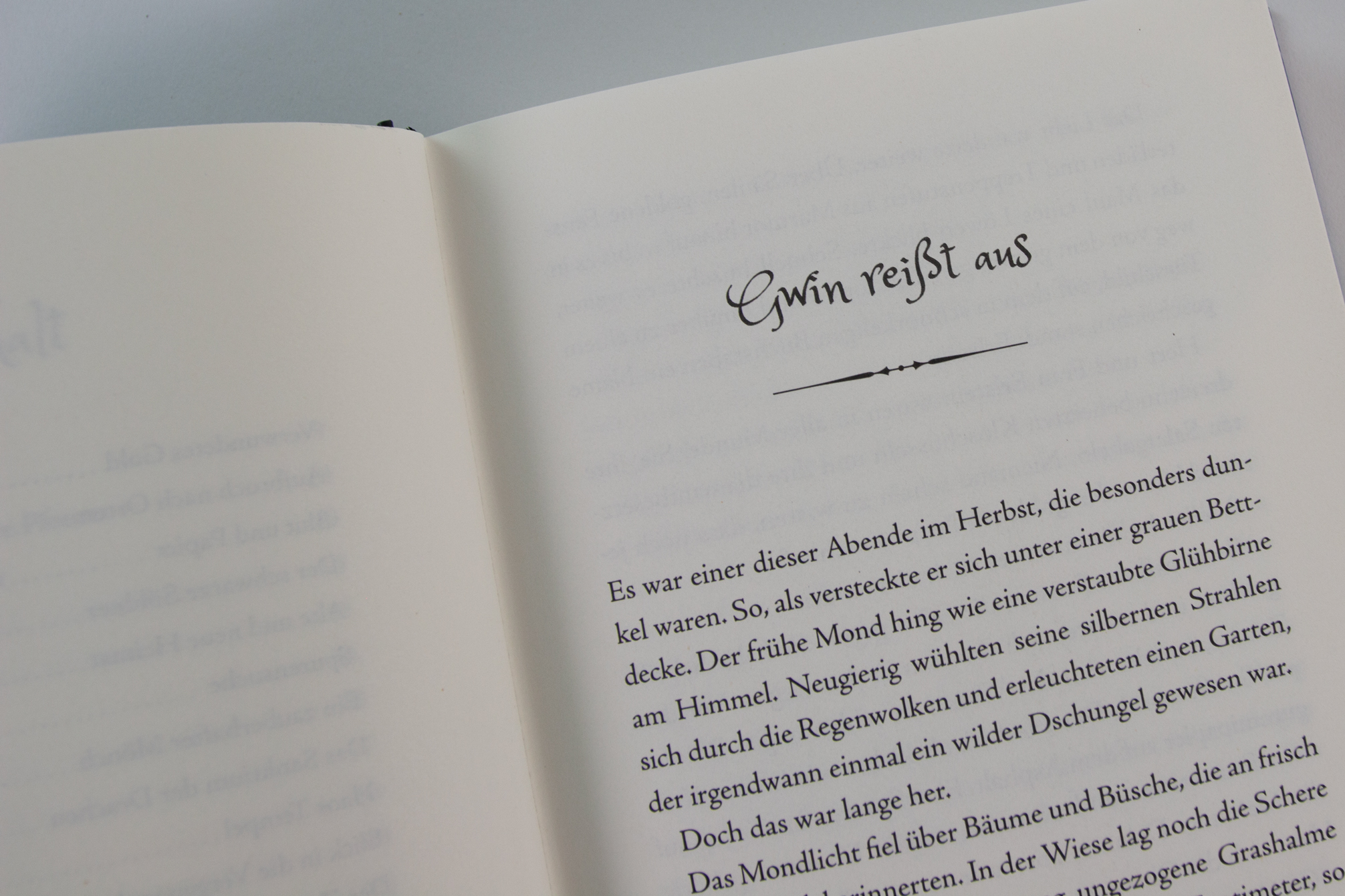 Gwin und das Herz des Drachen (Band 1) 9783743219861_5