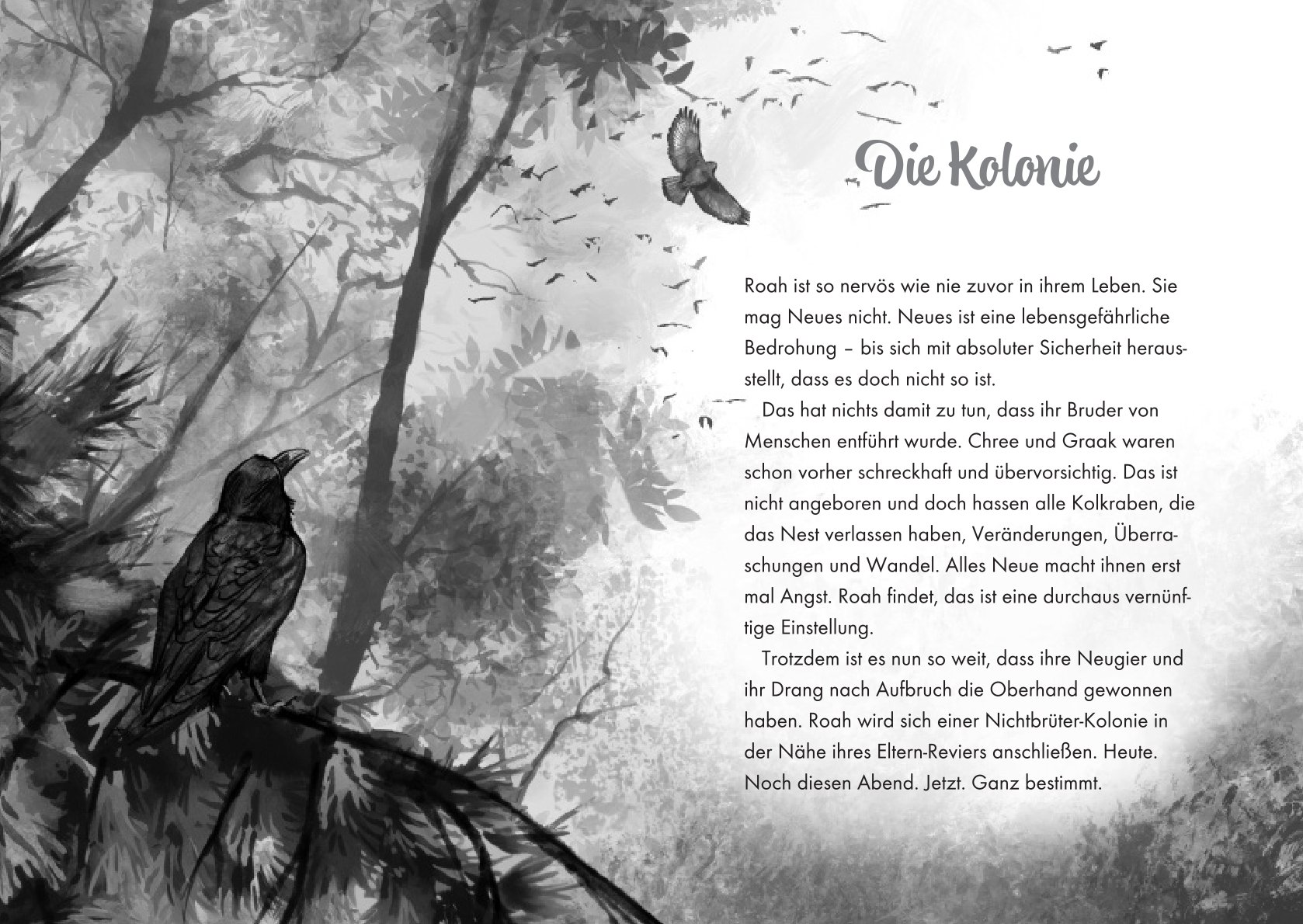 Innenseite des Buchs Revier der Raben von Vanessa Walder