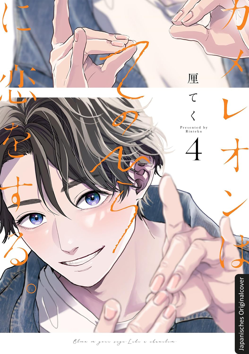 Sag's mit den Händen 04 9783743226708