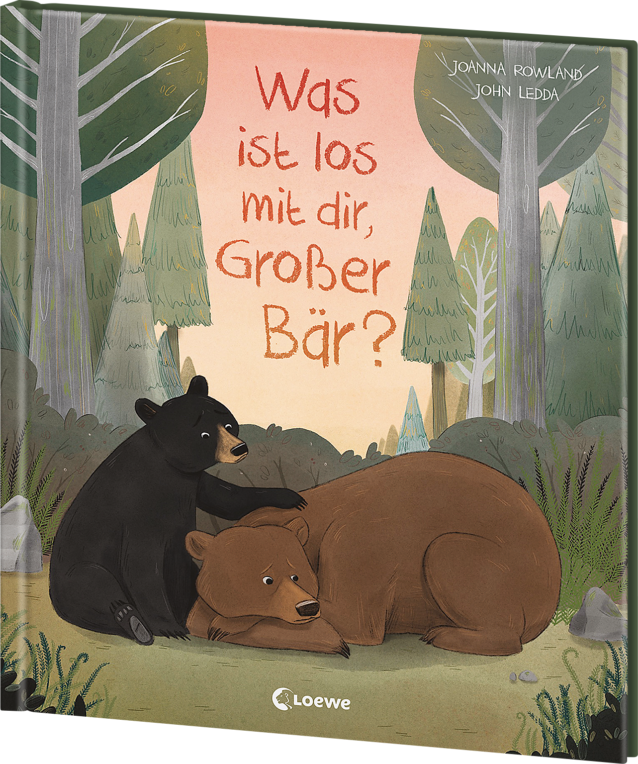 Was ist los mit dir, Großer Bär? 9783743216679