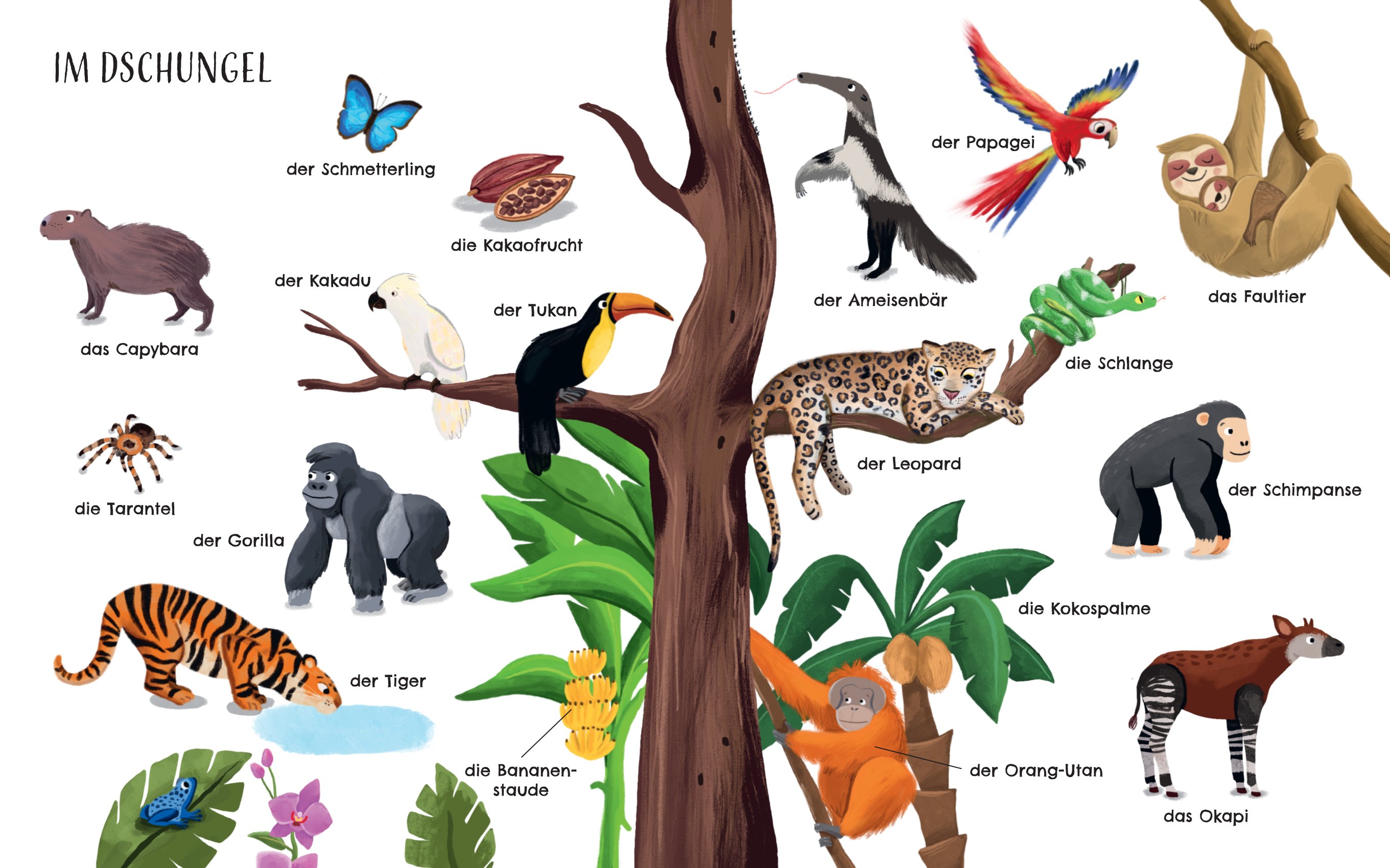 Innenseite des Buches "Entdecke die Welt der Tiere - Mein schönstes Bildwörterbuch"
