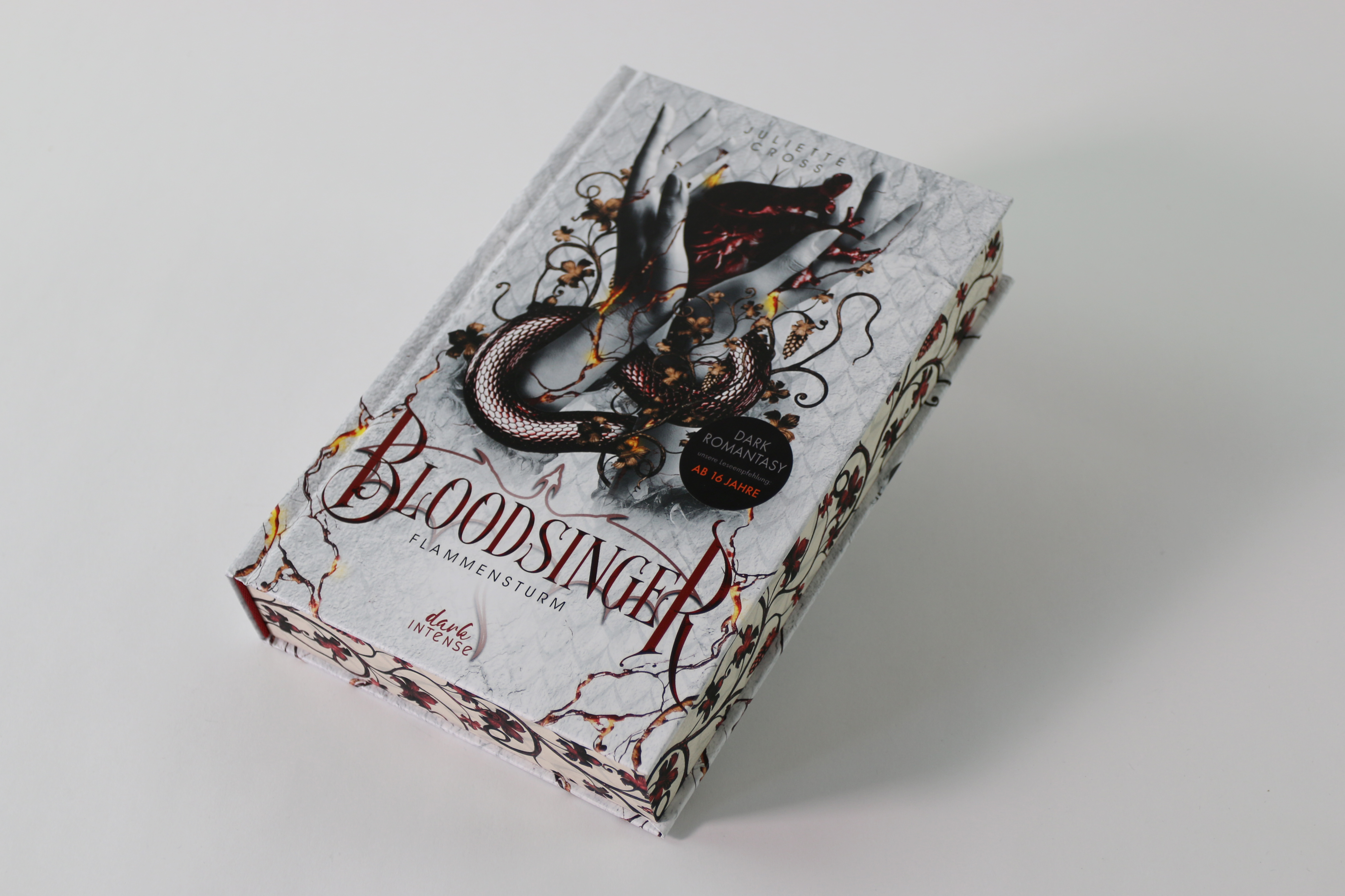 Flammensturm (Band 2) - Bloodsinger 9783743223127_05