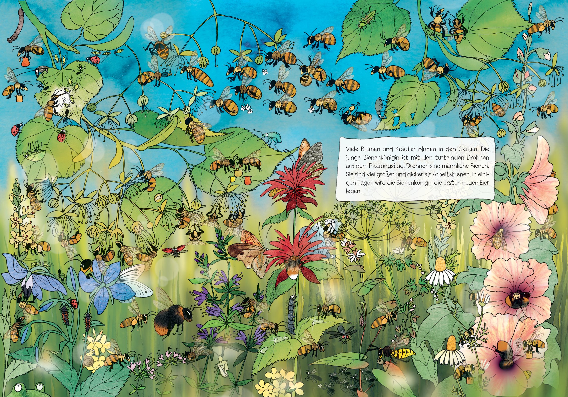 Innenseite des Buches Viel los bei den Bienen aus der Naturkind-Serie