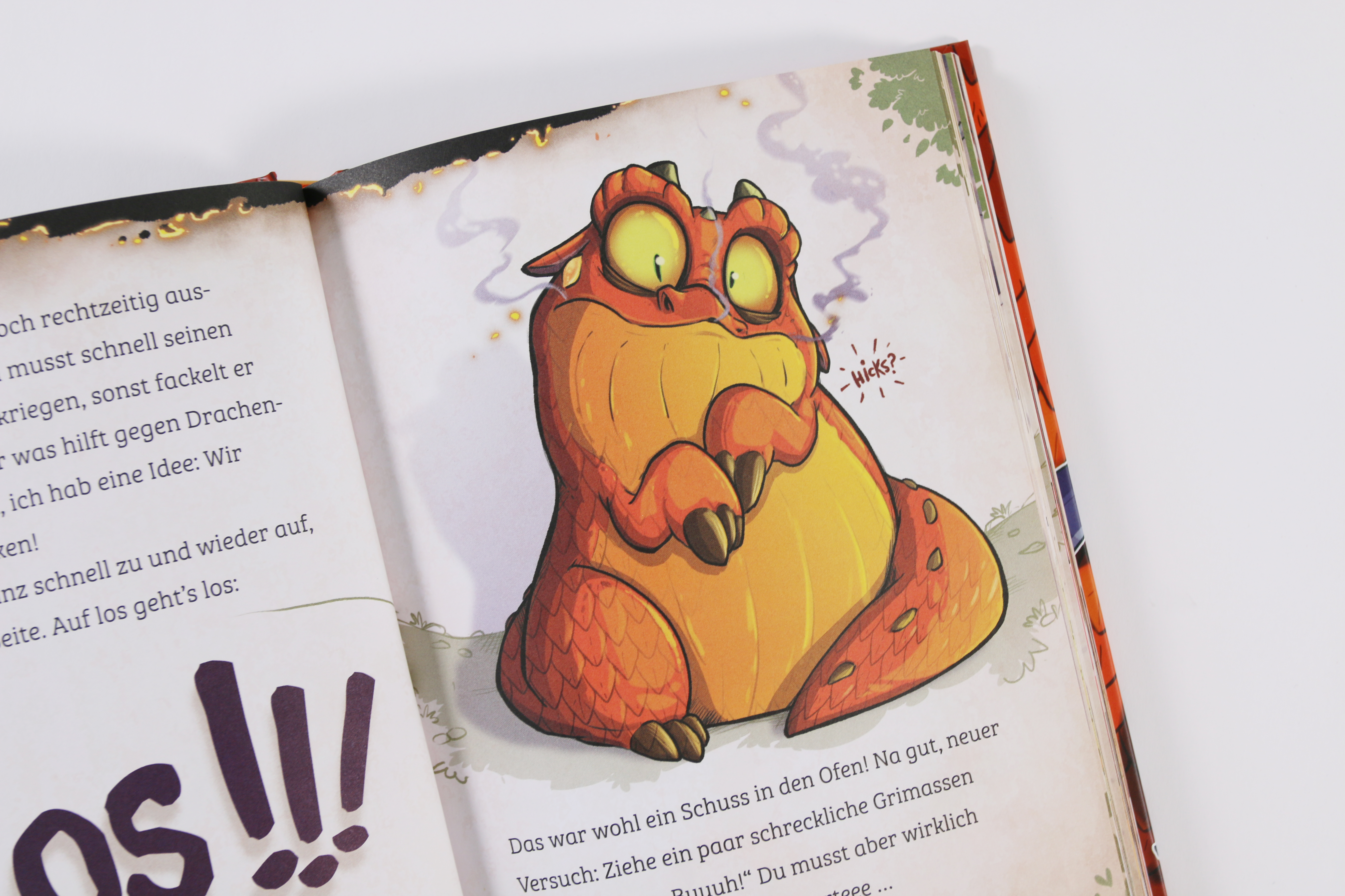 Die Bibliothek der unendlichen Abenteuer (Band 1) - Das gestohlene Drachenei 9783743222236_06