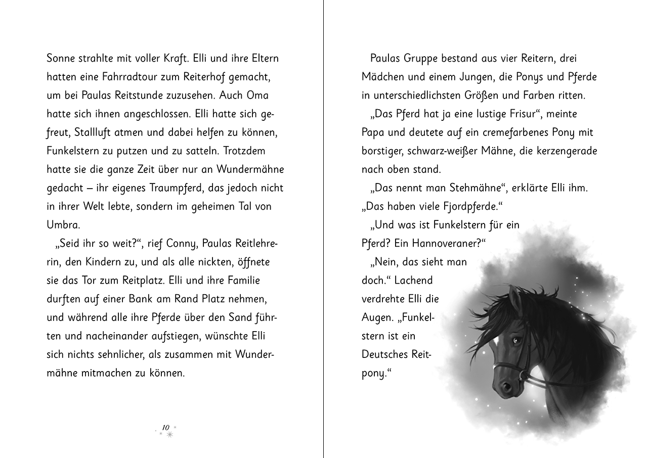 Wundermähne (Band 7) - Der magische Herzenswunsch 9783743225718_12
