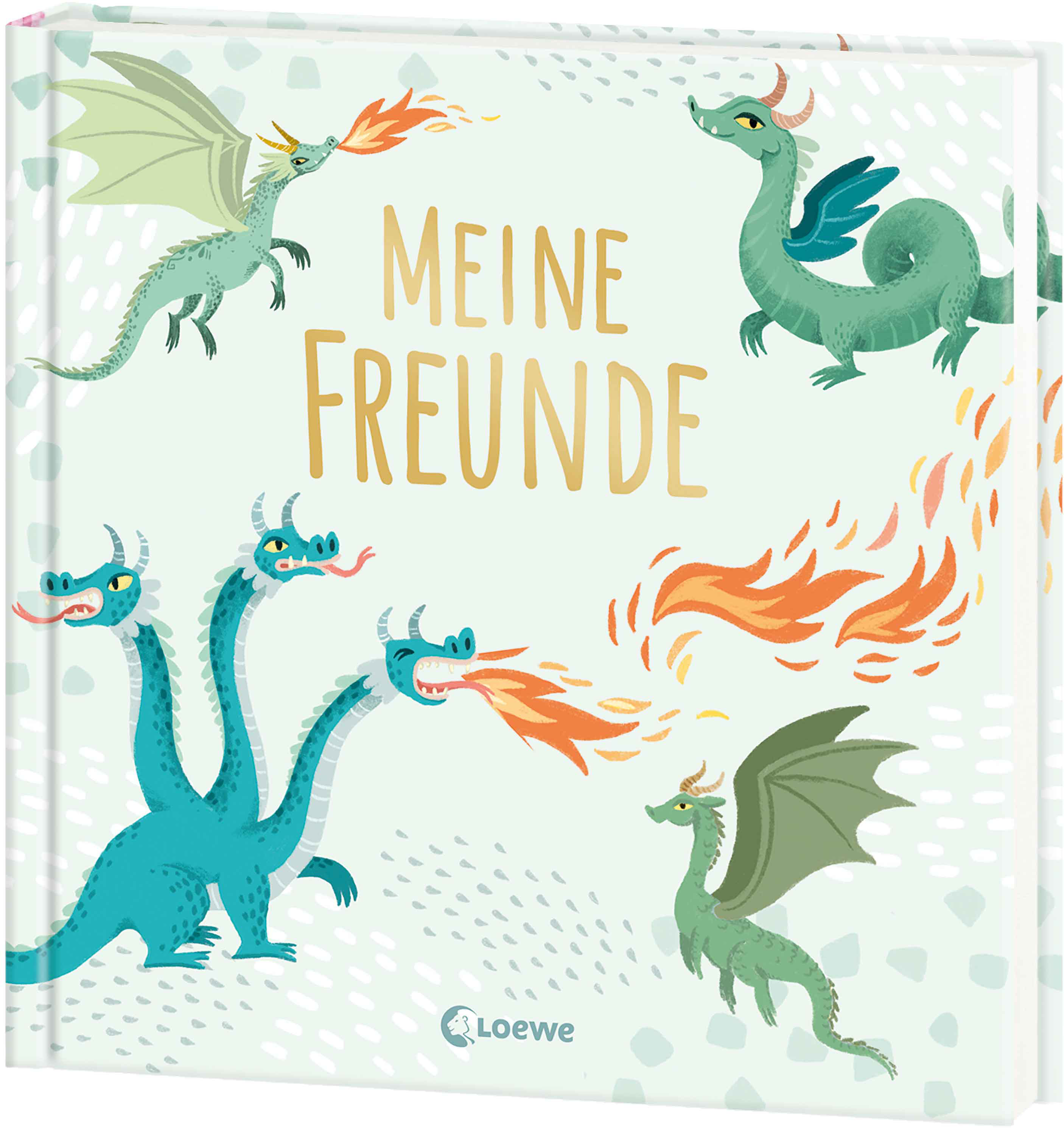 Meine Freunde (neu) - Drachen 9783743224551