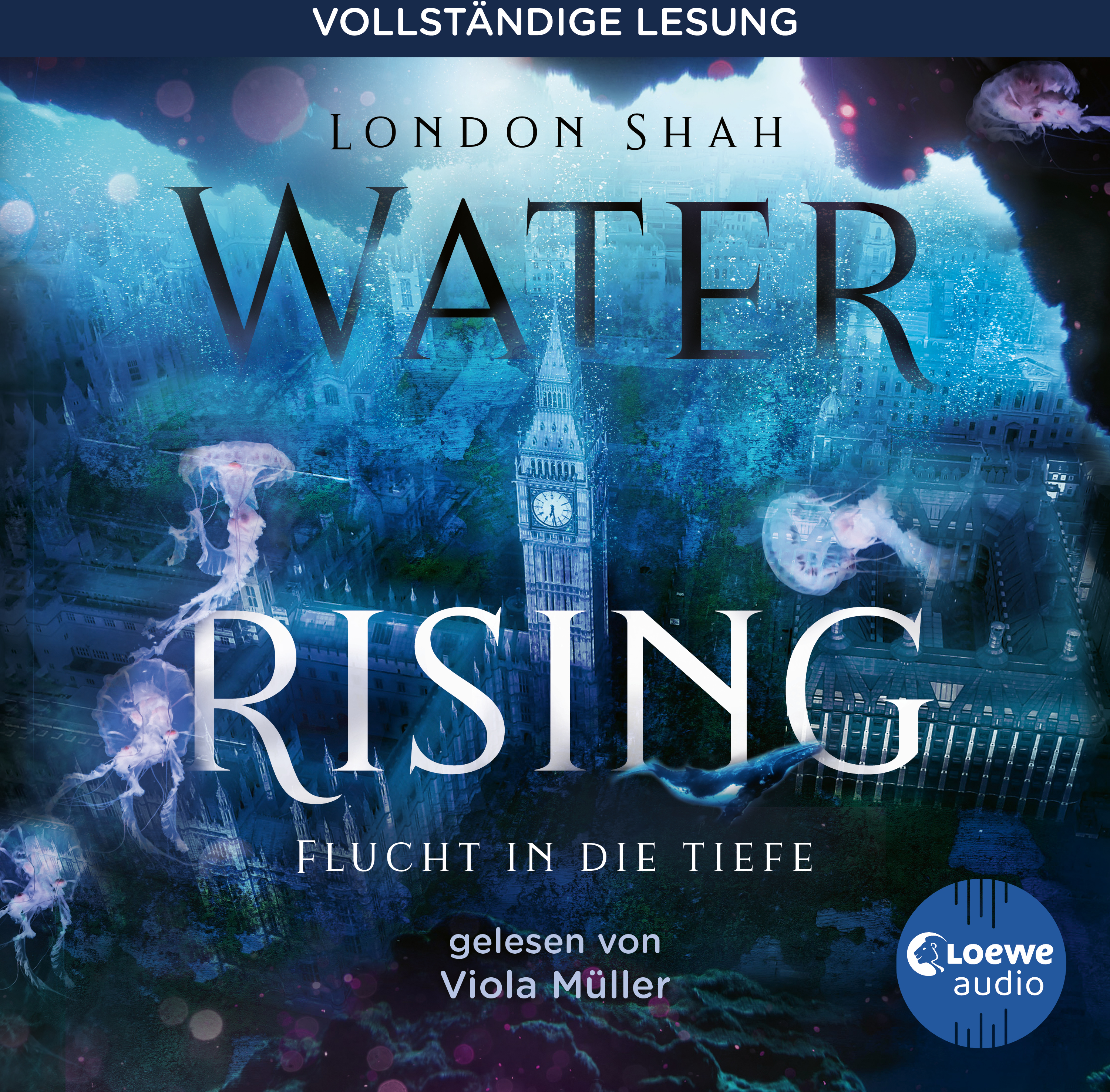Water Rising (Band 1) - Flucht in die Tiefe 9783949473579 Water Rising (Band 1) - Flucht in die Tiefe 9783949473579