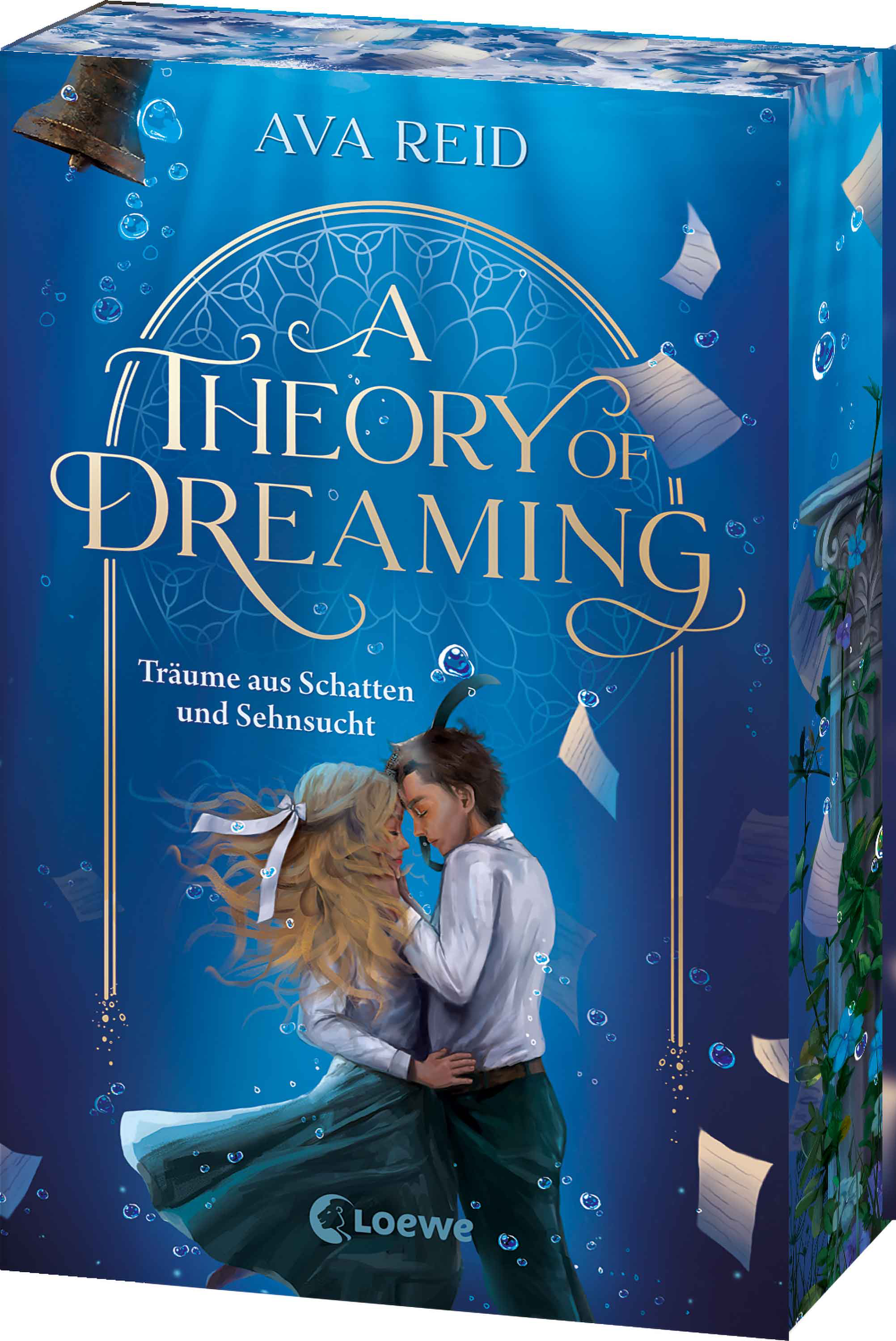 A Theory of Dreaming 9783743223042