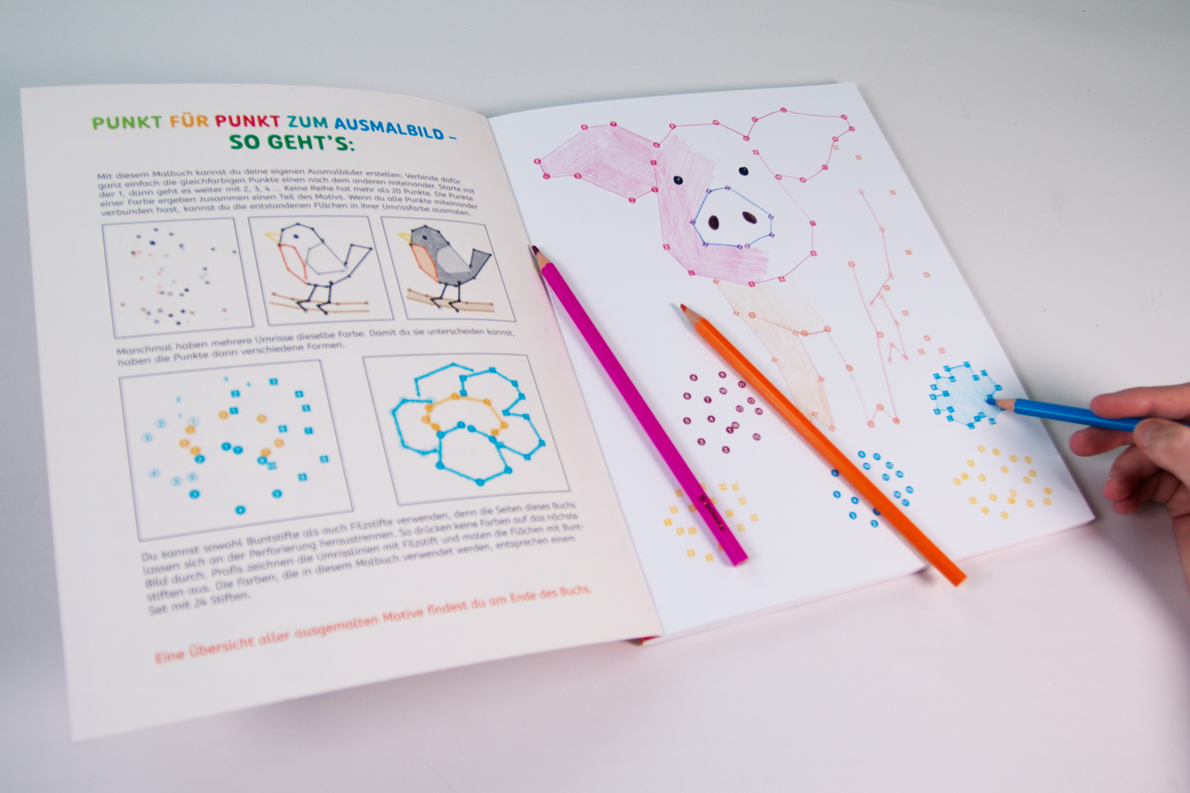 Punkt-zu-Punkt-Ausmalbuch (orange) 9783743219311_6 Punkt-zu-Punkt-Ausmalbuch (orange) 9783743219311_6