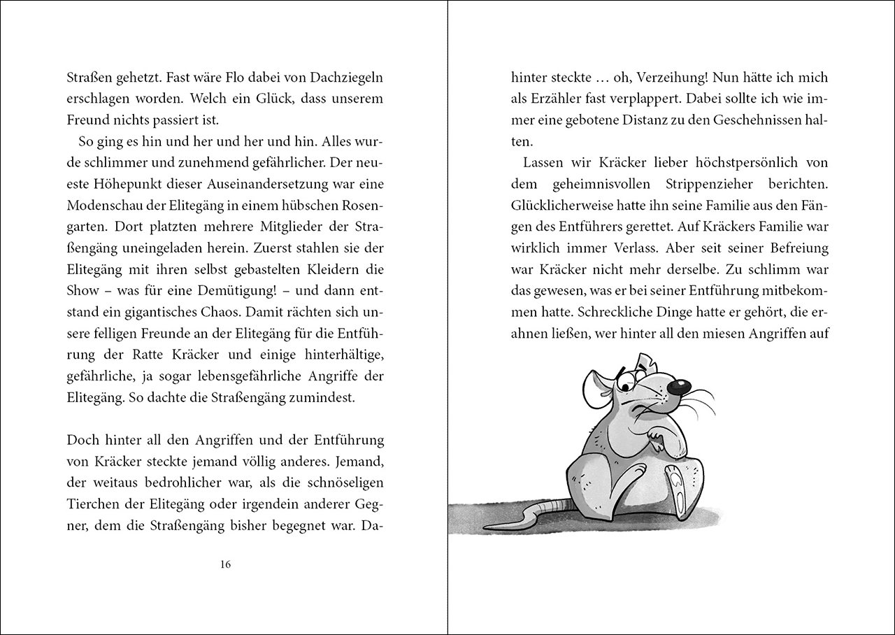 Die Straßengäng (Band 3) - Hochmut kommt vor der Falle 9783743215139_12