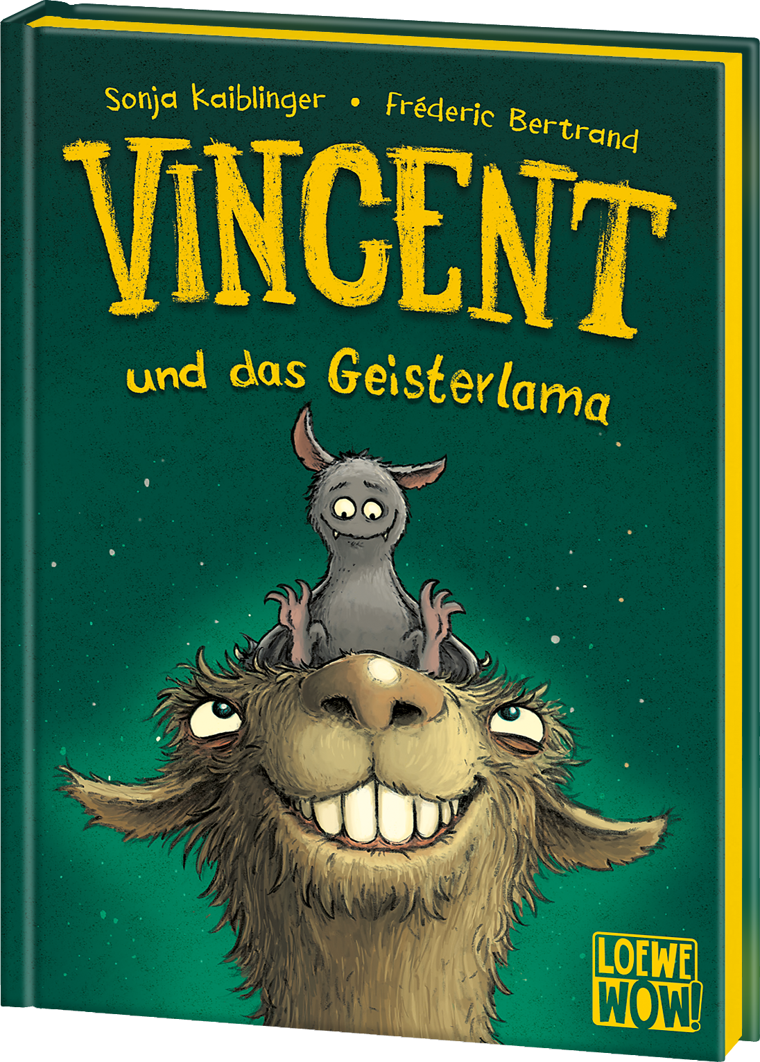 Vincent und das Geisterlama (Band 2) 9783743200210