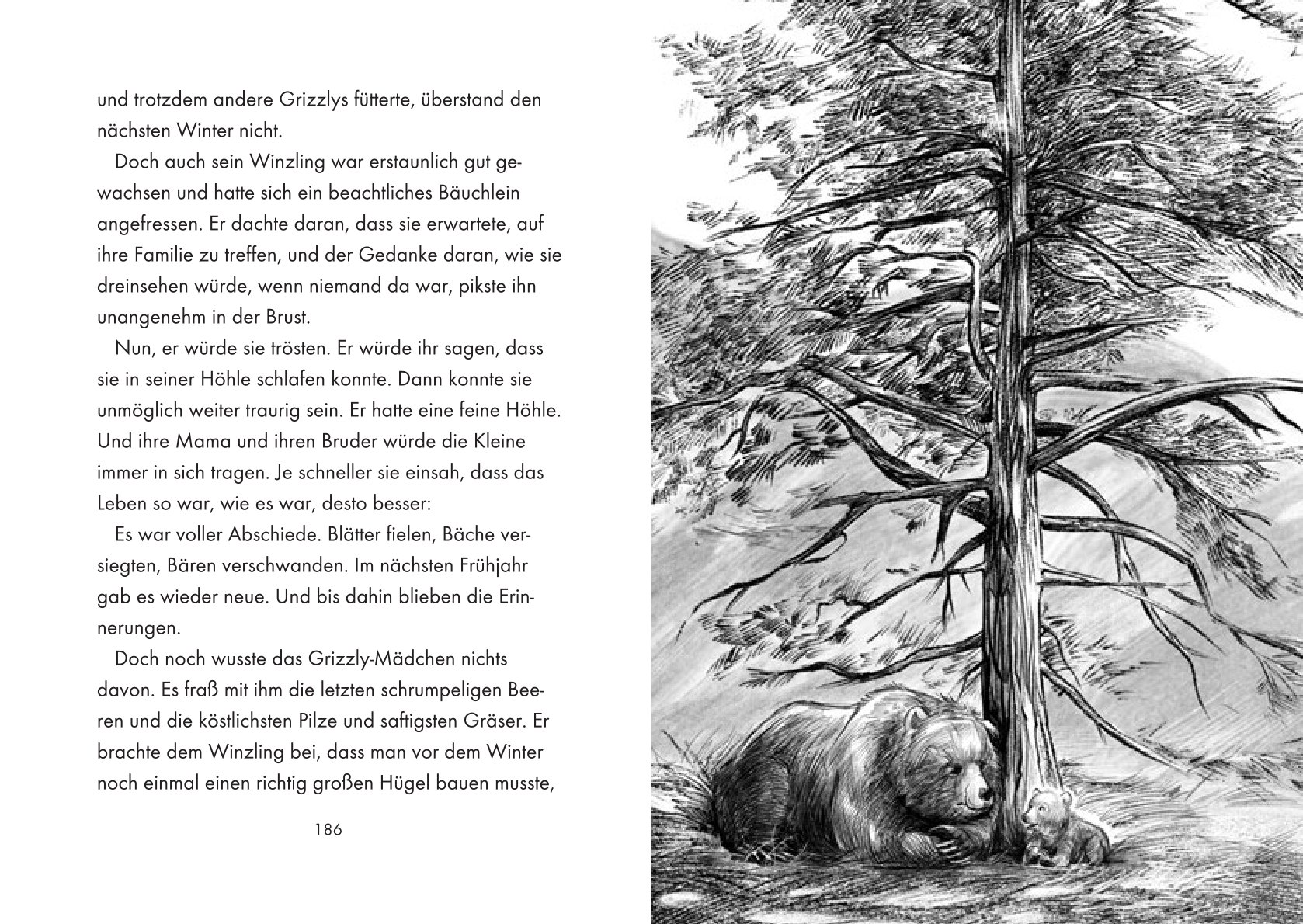 Innenseite des Buchs König der Bären von Vanessa Walder