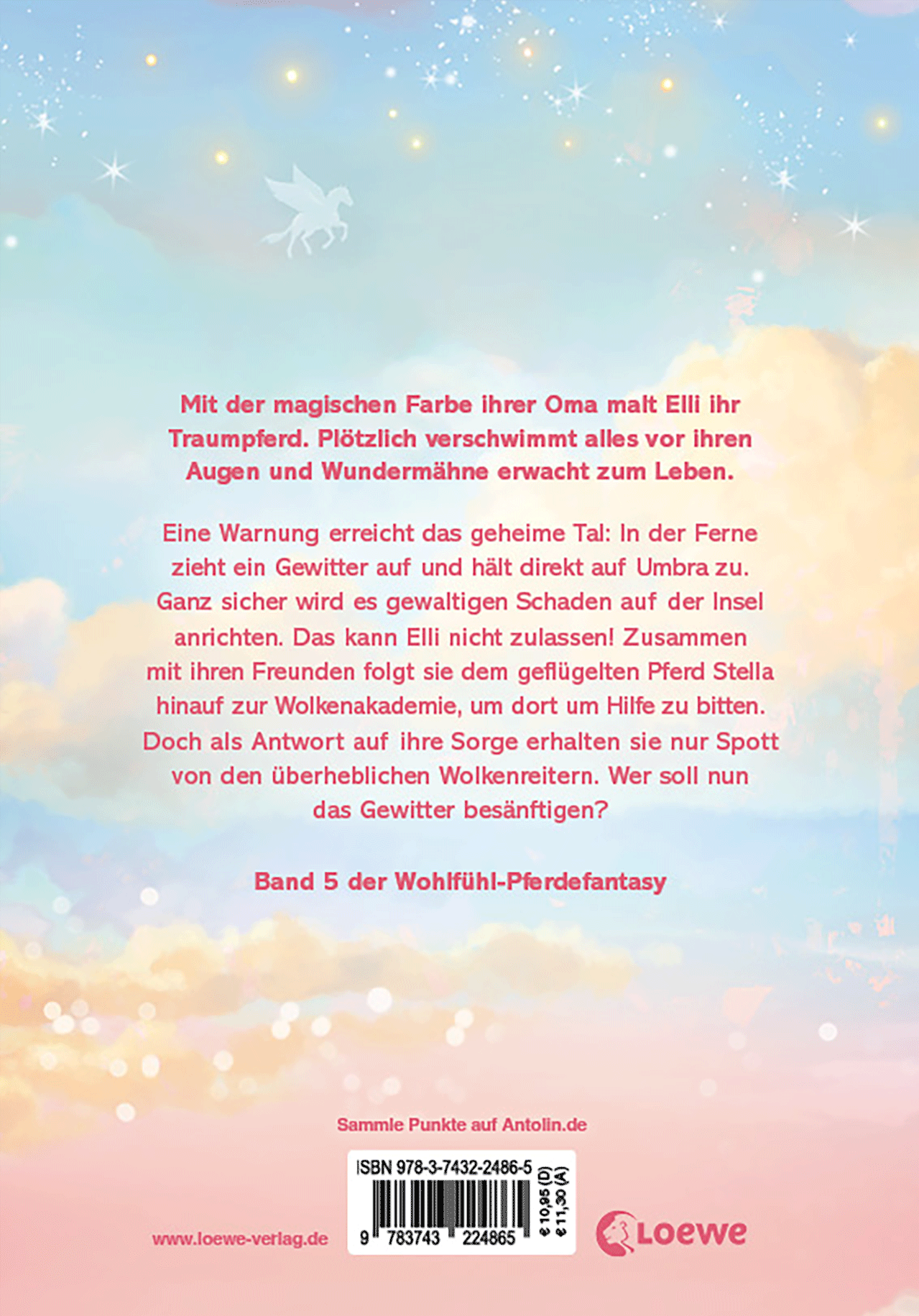 Wundermähne (Band 5) - Die geheimnisvollen Wolkenpferde 9783743224865_01