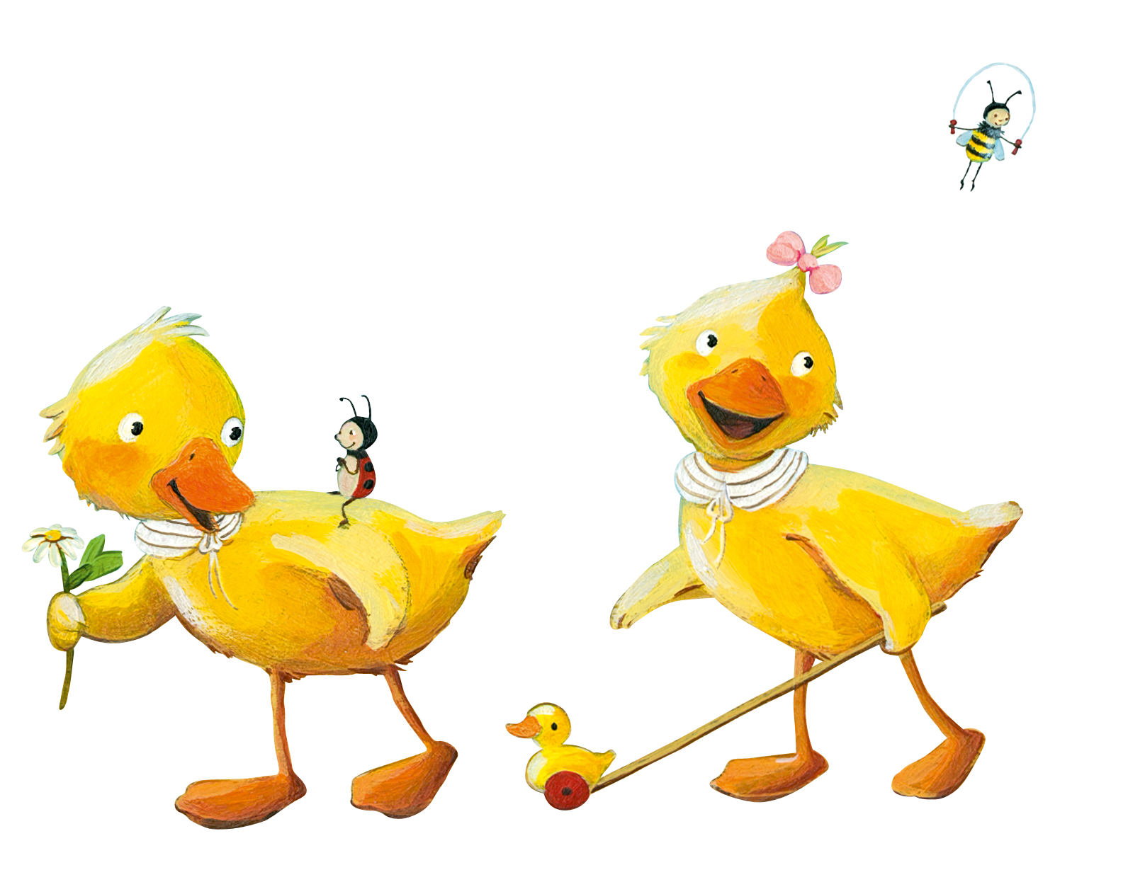 Naturkind; Enten Illustration von zwei Enten