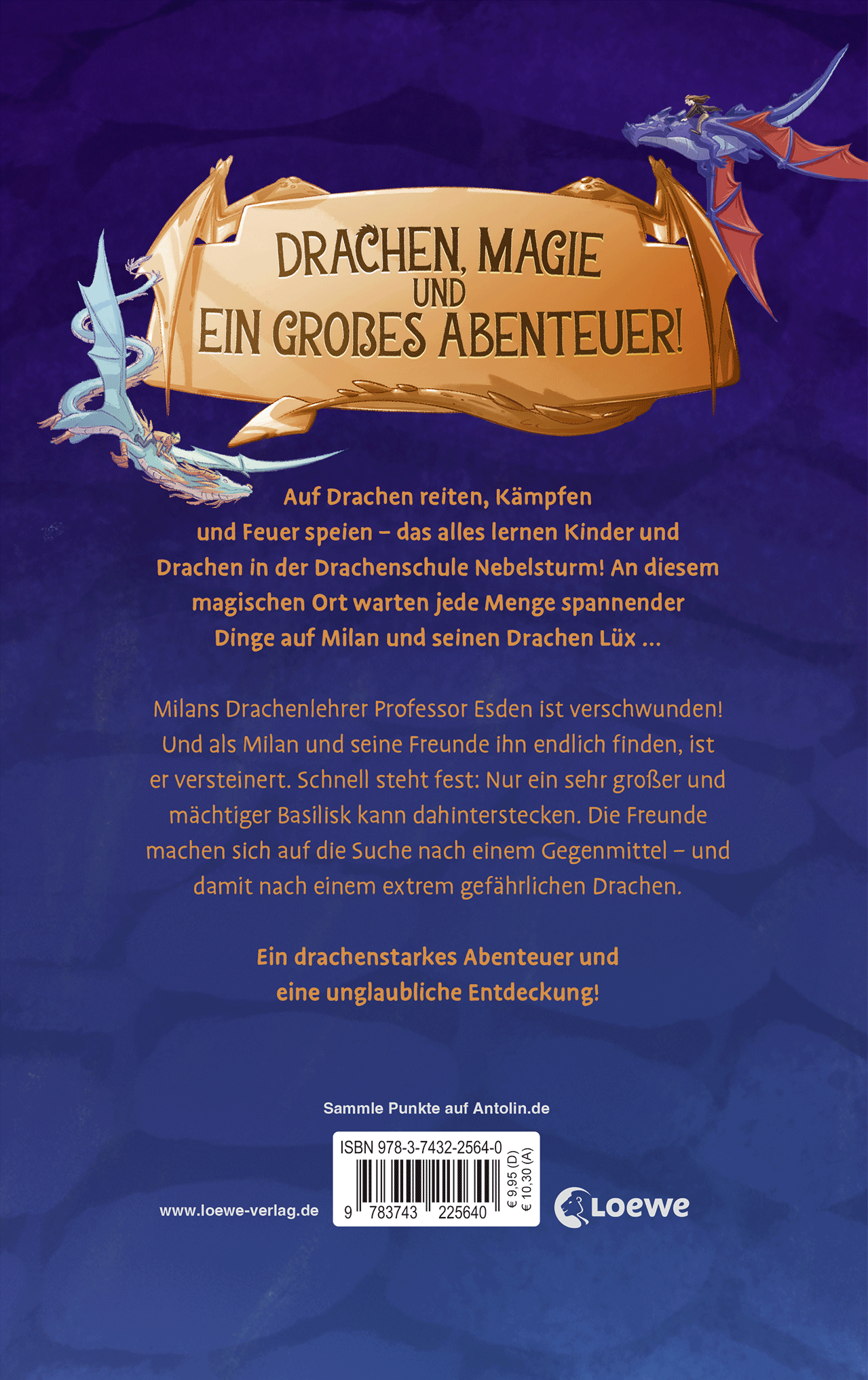 Drachenschule Nebelsturm (Band 5) - Der versteinerte Drache 9783743225640_01