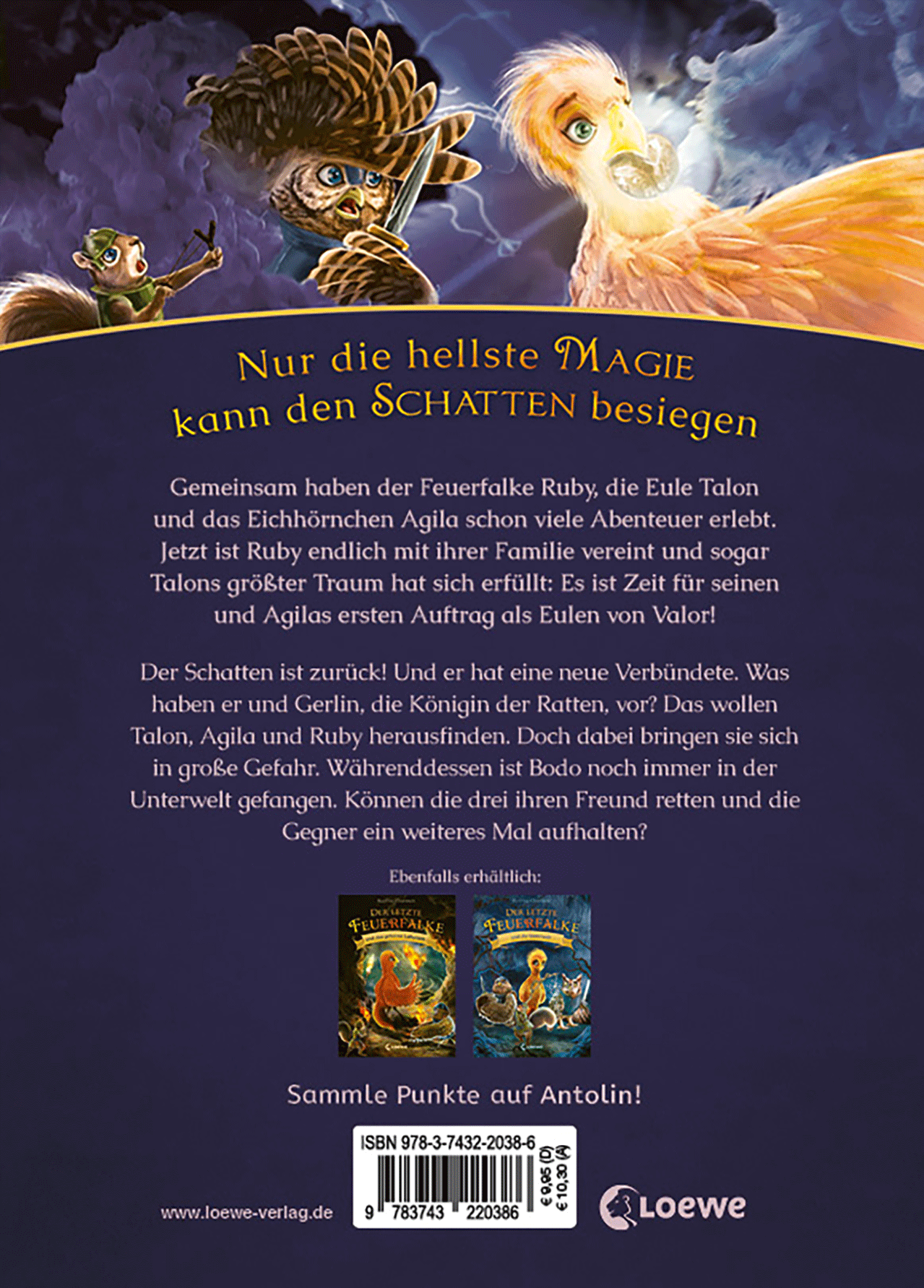 Der letzte Feuerfalke und die Rückkehr des Schattens (Band 12) 9783743220386_01