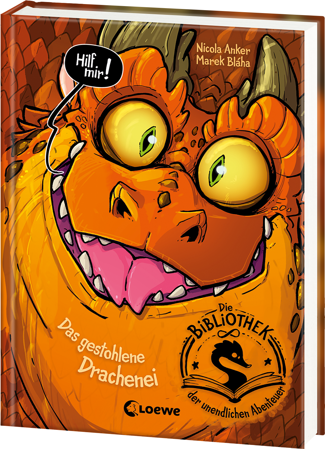 Die Bibliothek der unendlichen Abenteuer (Band 1) - Das gestohlene Drachenei 9783743222236