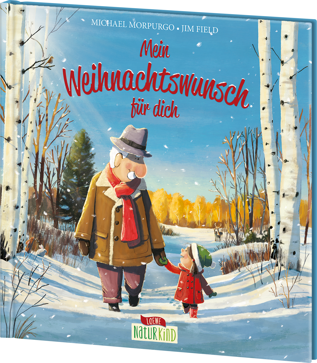 Mein Weihnachtswunsch für dich 9783743208780
