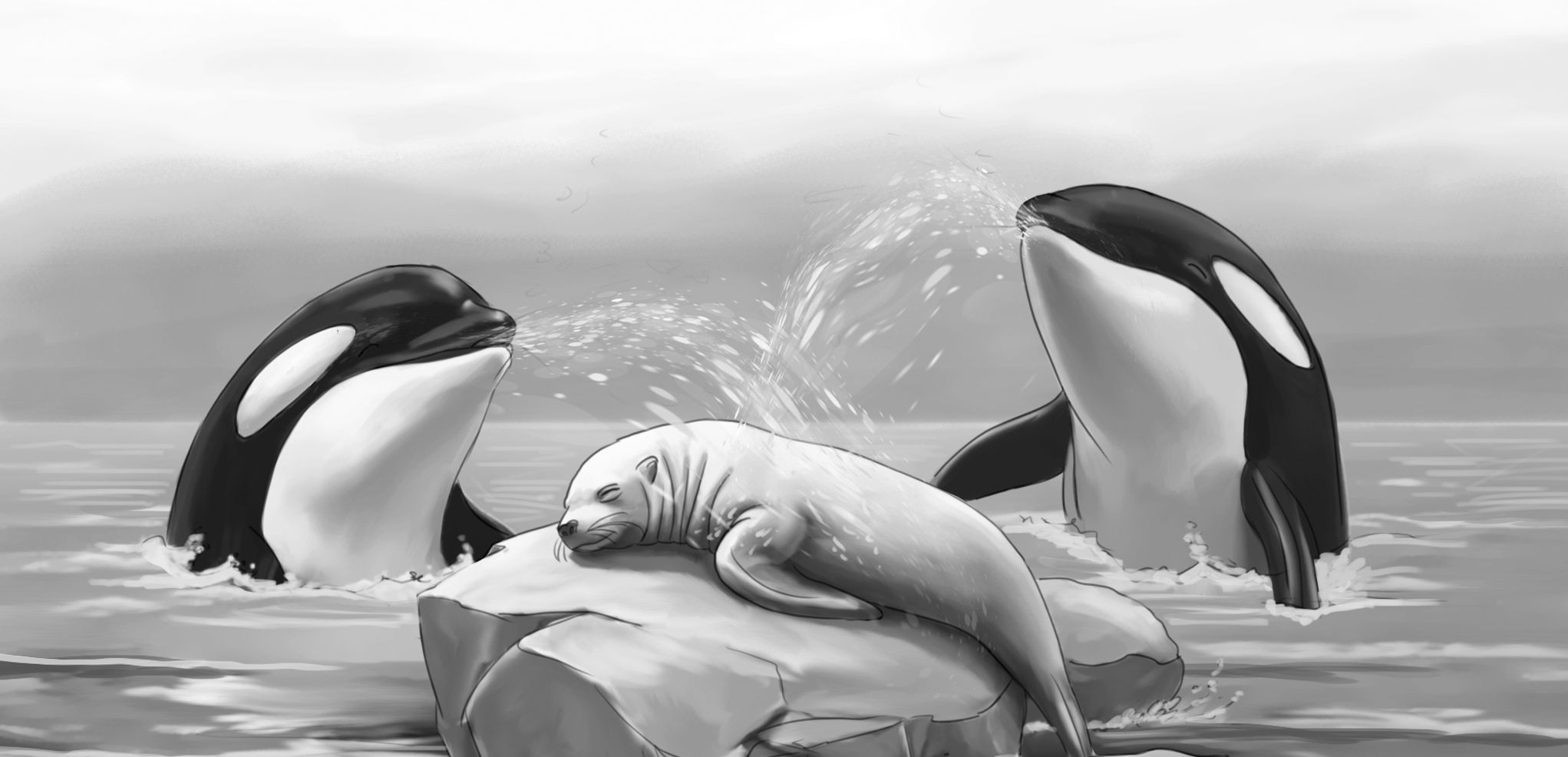 Bild von zwei Orcas und einer Robbe auf einem Felsen