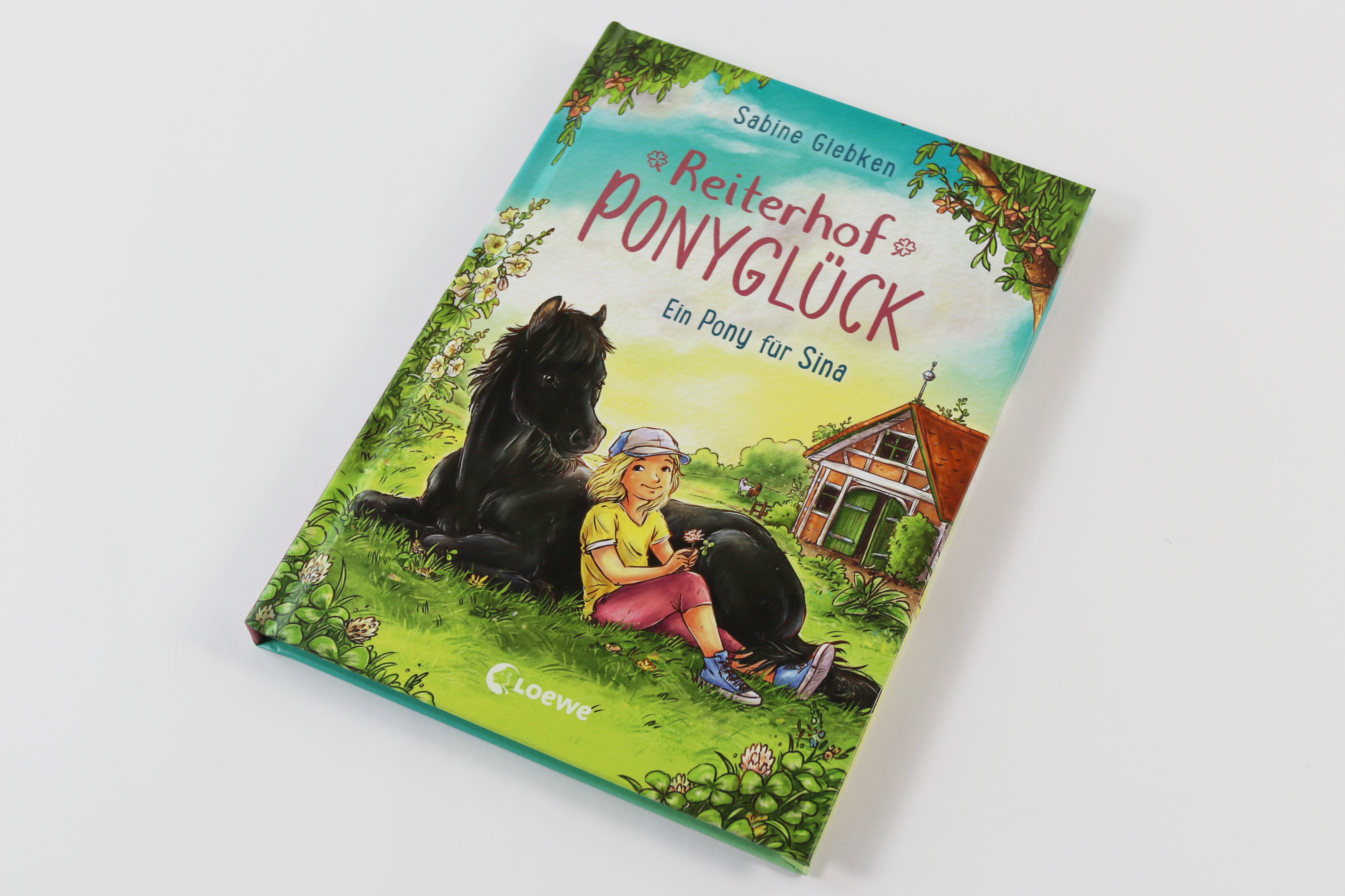 Reiterhof Ponyglück (Band 1) - Ein Pony für Sina 9783743220850_04